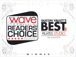 Silicon Valley Best 2008 Image